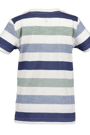 Blueseven t-shirt Fun
