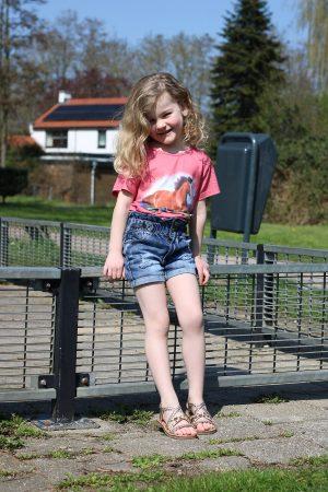 Shirtje Paard roze