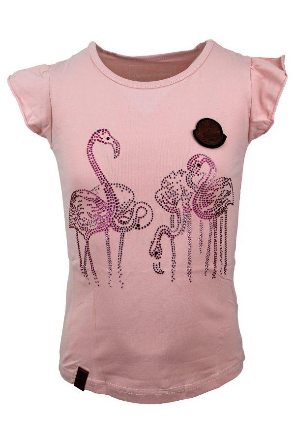Shirtje Go Flamingo roze