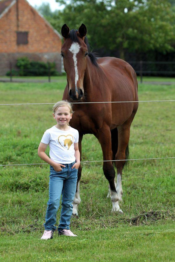 model Shirtje T-Shirt Lovehorse gold wit